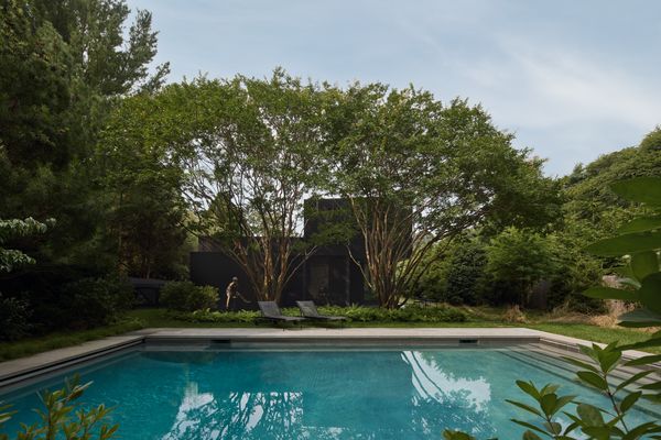 The house was designed around two mature crepe myrtle trees, signifying the home's focus on sustainability and dialogue with the landscape.